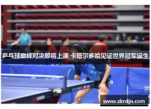 乒乓球巅峰对决即将上演 卡塔尔多哈见证世界冠军诞生